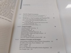 Doing Dialectical Behavior Therapy A Practical Guide Kelly Koerner DBT