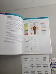Pediatric Advanced Life Support Provider Manual – AHA – paperback