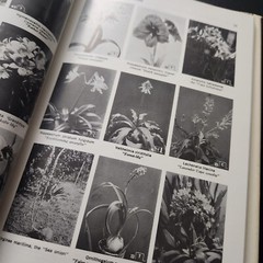 Exotic Plant Manual by A. B. Graf 1200 Illustrations Botany 1976 10th Edition