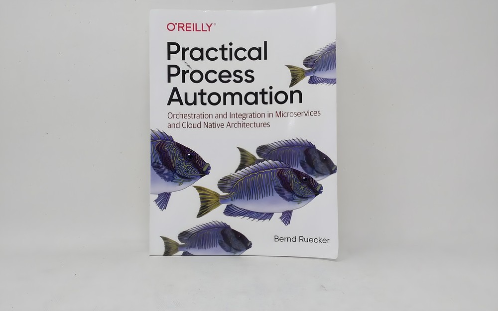 O’Reilly Media Practical Process Automation 9781492061458 Bernd Ruecker