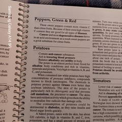 PHYLLIS BALCH Prescription Dietary Wellness 90s Nutrition Spiral 1992 8×11