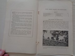 Farm Sheep Raising for Beginners by Marshall Millin 1917 Farmers Bulletin 840 US