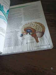Abeka Biology Gods Living Creation Fifth Edition