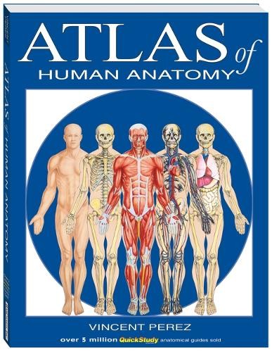 Vincent Perez Atlas of the Human Anatomy (Paperback)