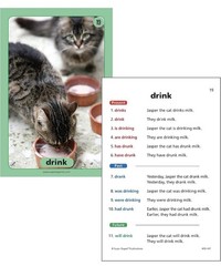 Super Duper 100 Irregular Verbs in Sentences Super Fun Deck Photos #FD-147