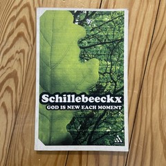 God Is New Each Moment by Edward Schillebeeckx (2004, Uk-Trade Paper)