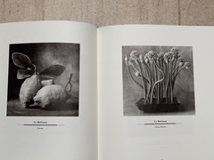BRAND NEW Journal of Contemporary Photography VOLUME TWO #258/2000 1ST EDITION**