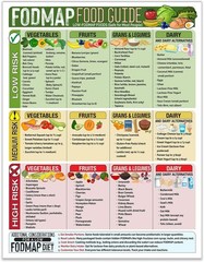Magnetic 8.5×11 FODMAP Food Guide – IBS-Friendly Diet Poster & Chart, Safe Foo