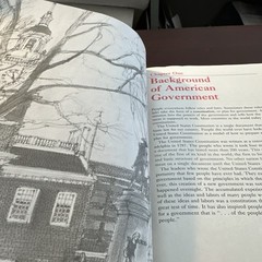 The Constitution Currie Stevos Addison Wesley Paperback American Government
