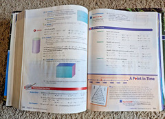 Prentice Hall Algebra 1 by Prentice-Hall Staff (2004, Hardcover)
