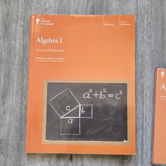 NEW The Teaching Company The Great Courses Algebra 1 Course DVD and Workbook