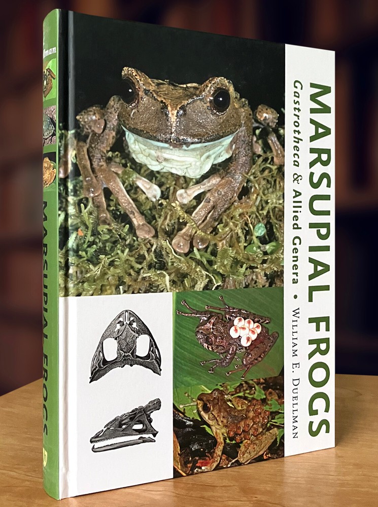 Marsupial Frogs: Gastrotheca and Allied Genera by William E. Duellman (2015 HC)