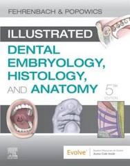 Illustrated Dental Embryology, Histology, and Anatomy – Paperback – GOOD