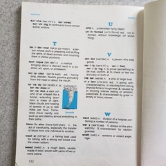 Inroads Macmillan Reader Level 34 Homeschool Vintage 112 Pages
