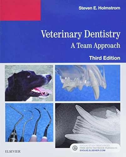 Veterinary Dentistry: A Team – Paperback, by Holmstrom DVM Steven – Good
