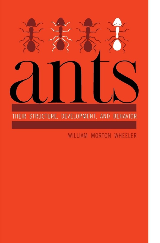 Ants