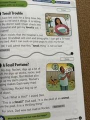 System 44 Book, Decodable Digest, scholastic, 286 pages