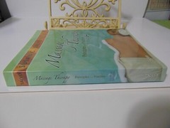 Massage Therapy Principles and Practice by Susan Salvo SC 2nd Edition