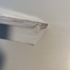 Spell to Write and Read Teacher’s Manual Book