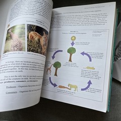 Apologia Exploring Creation With Biology 2nd Edition Textbook Solutions Tests