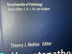 Hematopathology Molina Springer Hardcover Medical Textbook Pathology Reference
