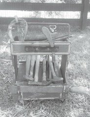 Shoeing To Win