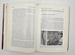 Insect Ultrastructure Vol 2 King Akai | Plenum Press Microscopy Biology