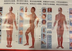 16 Charts, Posters & Booklets Acupuncture in Chinese