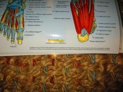 2 Quick Study Medical laminated Poster vincent perez 28 x 22