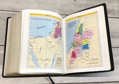 Russian Bible Life. Библия с комментариями. Полноценная жизнь (кожаный переплет)