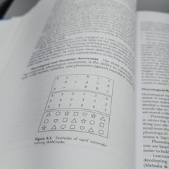 Multisensory Teaching of Basic Language Skills by Suzanne Carreker, Graham…