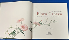 The Magnificent Flora Graeca : How the Mediterranean Came to the English