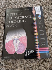 Netter’s Neuroscience Coloring Book | Felton & Maida | 2018 Paperback | LIKE NEW