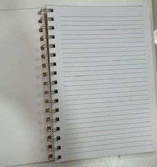 Gartner Studios 2 Pack Notebooks, New, 200 pages, 6×8.5