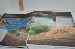 Campbell Biology 10th Edition Binder-ready Looseleaf Textbook Pearson A La Carte