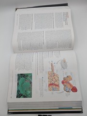 Campbell Biology 10th ed
