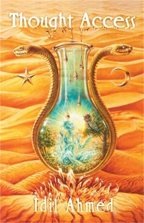 Thought Access (Paperback or Softback)