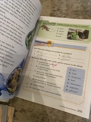 Abeka Third 3rd Grade Child / Student Homeschool Books , Readers And Textbooks