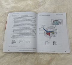 Dental Anatomy Coloring Book 2nd Edition 978-1-4557-4589-0+US SELLER+FREE SHIP