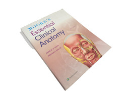 Moore’s Essential Clinical Anatomy Sixth Edition Paperback Agur Dalley Textbook