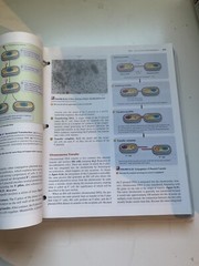Loose Leaf for Nesters Microbiology – Loose Leaf – VERY GOOD
