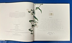 The Magnificent Flora Graeca : How the Mediterranean Came to the English