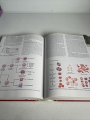 Guyton Physiology Ser.: Medical Physiology by John E. Hall and Arthur C. Guyton