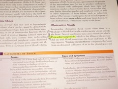 Understanding Medical-Surgical Nursing – Linda S Williams, F.A. Davis Company
