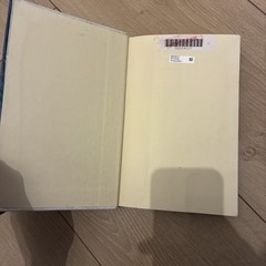 isobel armstrong, radical aesthetic, 1st Edition, Hardback, 2000