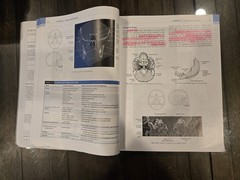 Sectional Anatomy for Imaging Professionals, 4e – Paperback. WORKBOOK INCLUDED!!