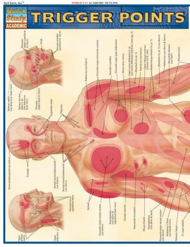 Trigger Points QuickStudy Laminated- Vincent Perez, 9781423203162, pamphlet, new