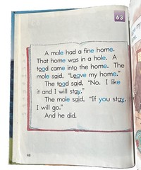 Journeys – Direct Instruction Reading Textbook 2