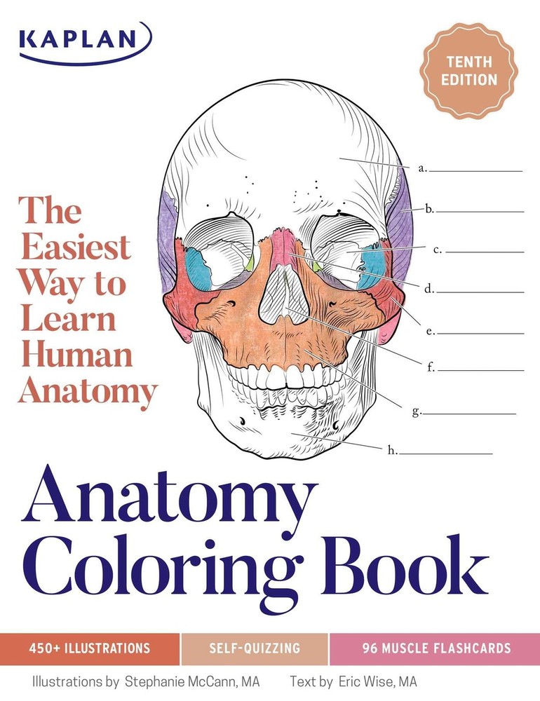 Anatomy Coloring Book with 450+ Realistic Medical Illustrations with Quizzes…