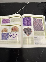 Junqueira’s Basic Histology: Text and Atlas, Fourteenth Edition – VERY GOOD